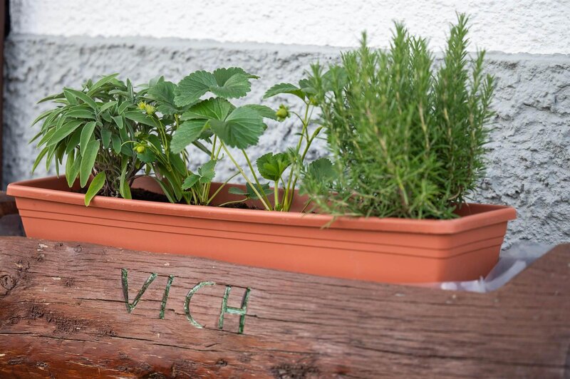 Ghetta Alessandro   Ciasa Semal App